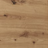 Dąb artisan