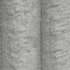 Tilia 86
