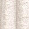 Tilia 01