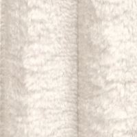 Tilia 01