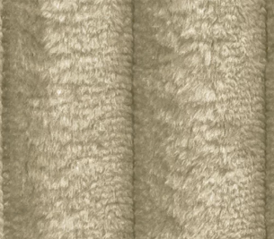 Tilia 11
