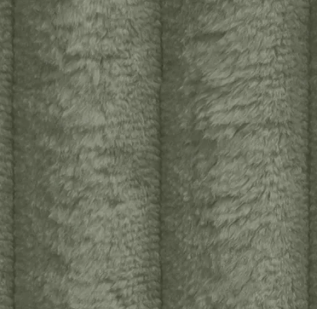 Tilia 37